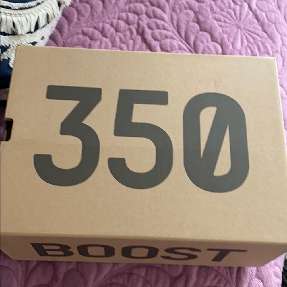 Adidas Yeezy boost 350